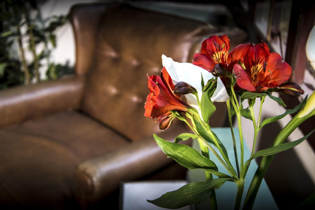 York Vintage Bed & Breakfast ลาปาซ ภายนอก รูปภาพ